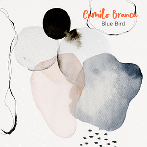 偷拍舞蹈生换内裤
